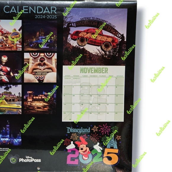 DISNEYLAND 24-2025 16 MONTH CALENDAR - Picture 4 of 4